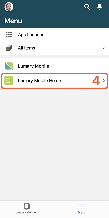 Lumary Mobile with Lumary Mobile Home option highlighted