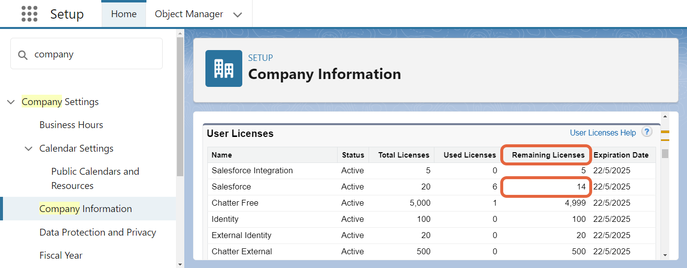 Remaining Salesforce licences